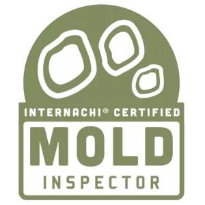 mold-logo-300x300
